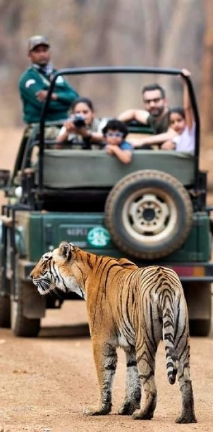 FB_IMG_1713927894571