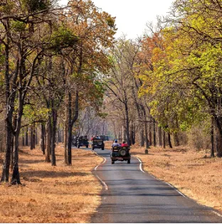 mytadoba047